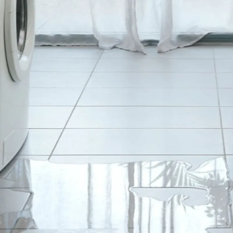 Appliance Leak Cleanup in Bonham, TX