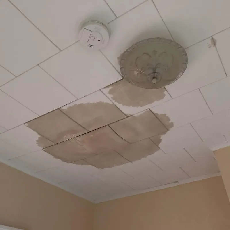 Ceiling Water Damage Repair in Bonham, TX