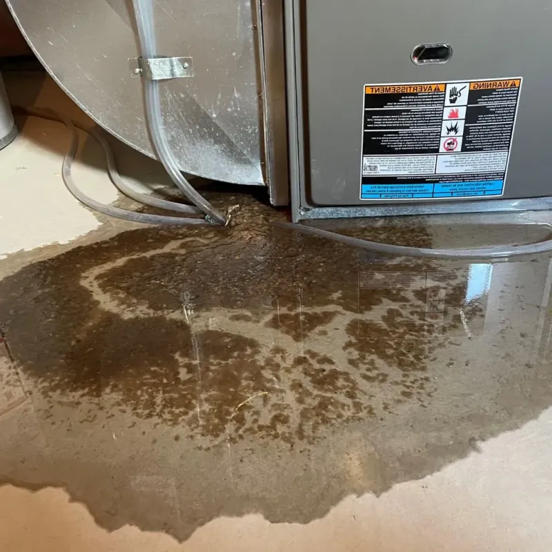 Pipe Burst and Leak Restoration in Bonham, TX