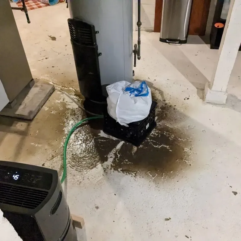 Sewage Backup Cleanup Service in Bonham, TX